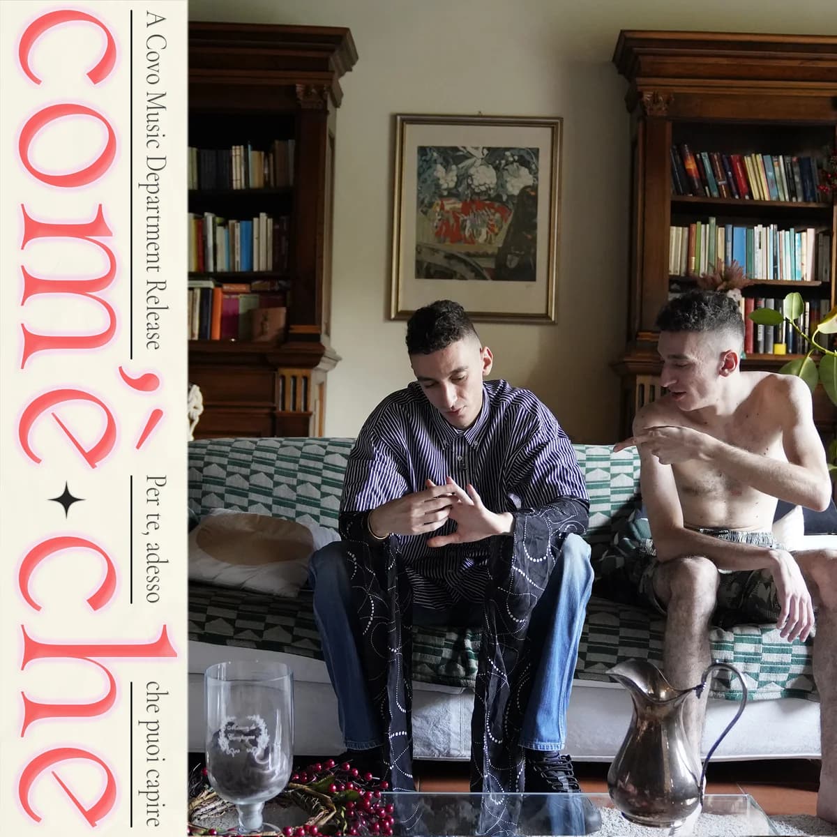 Com'è che cover: two men on a sofa in a library